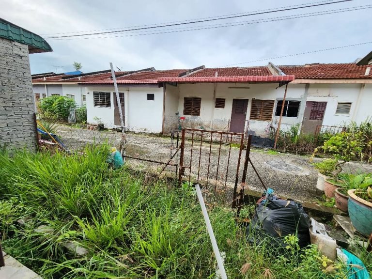 PHOTO 2022 11 16 11 26 08 1 768x576