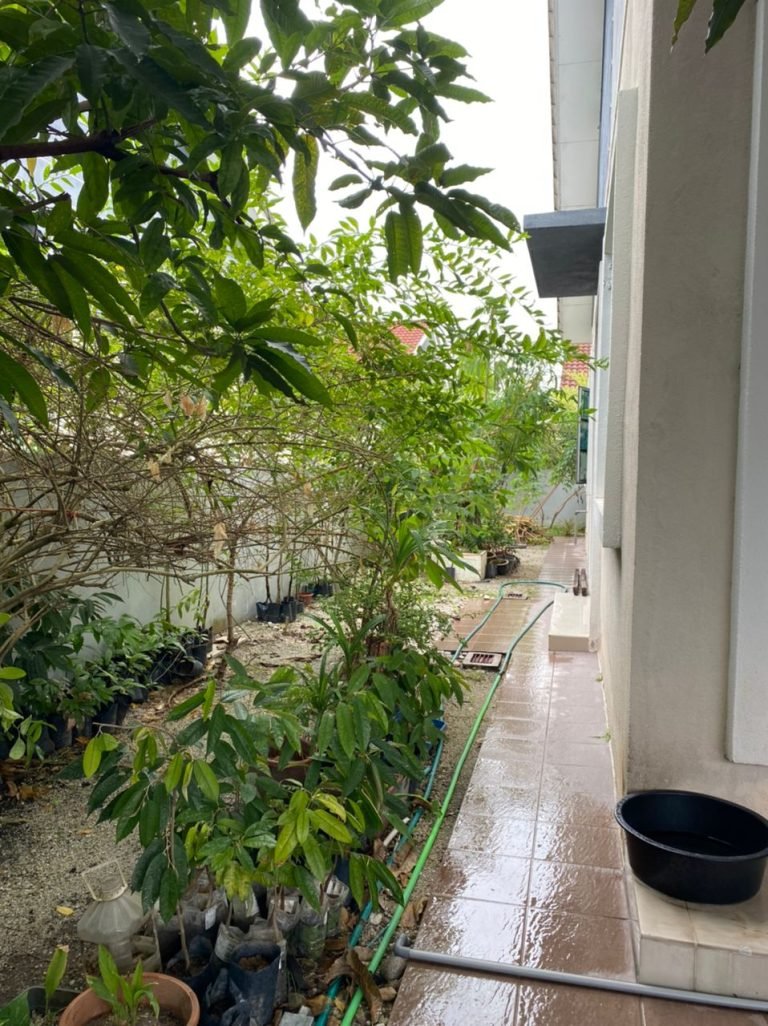 medan klebang mewah00004 768x1026