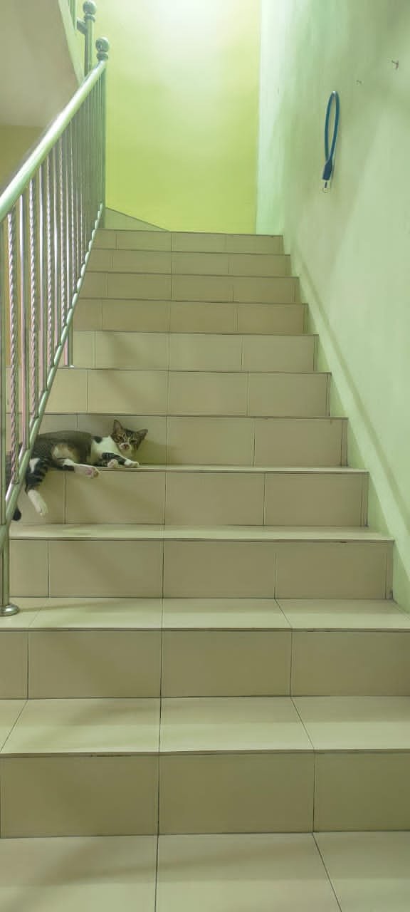 rumah teres manjung ponit 200016