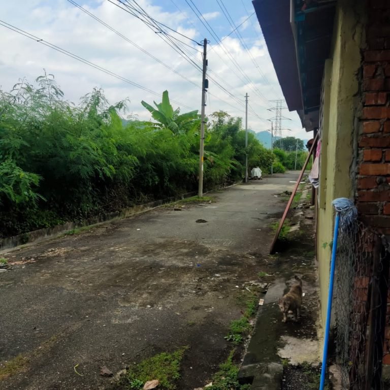 Rumah Teres Taman Putra Bercham Ipoh 13 768x768