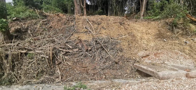 tanah untuk dijual kampung ahmad said manjoi 14 768x355