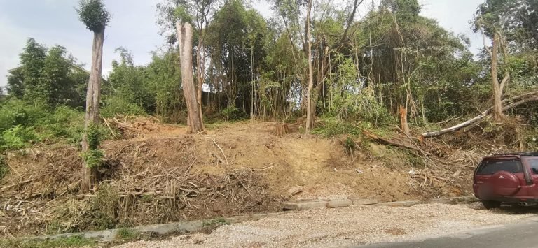 tanah untuk dijual kampung ahmad said manjoi 15 768x355