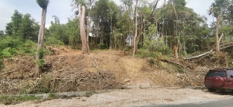 tanah untuk dijual kampung ahmad said manjoi 16 768x355