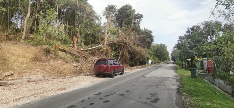 tanah untuk dijual kampung ahmad said manjoi 17 768x355