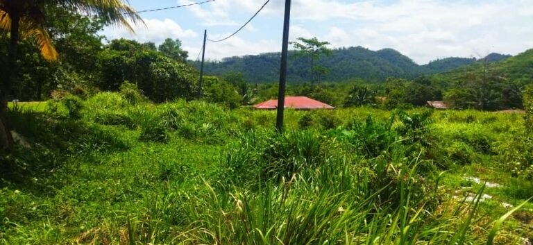 tanah untuk dijual kampung jalong sungai siput 2 768x353