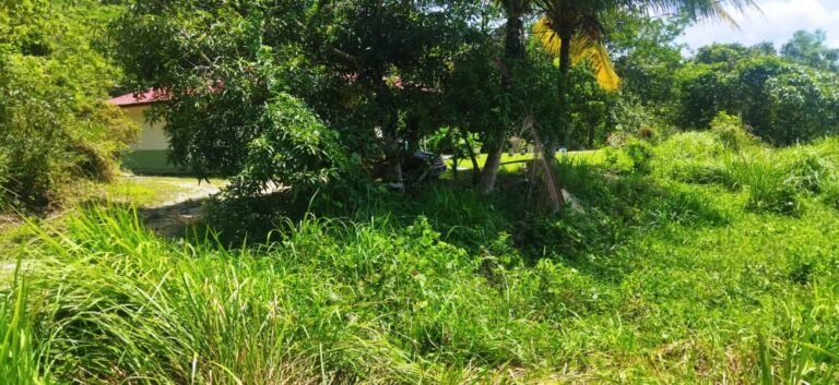 tanah untuk dijual kampung jalong sungai siput 3 768x353