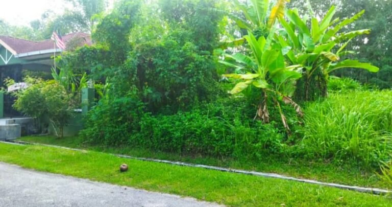 tanah untuk dijual taman salak baru 2 1 768x405