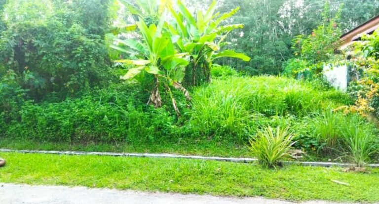 tanah untuk dijual taman salak baru 3 1 768x413