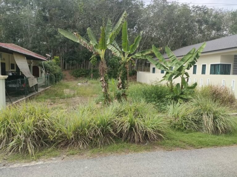 tanah untuk dijual taman salak baru 5 1 768x576