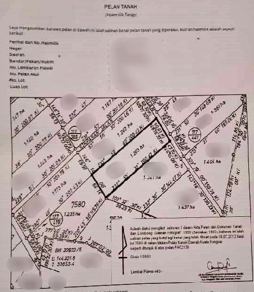 tanah untuk dijual lintang sungai siput perak 7