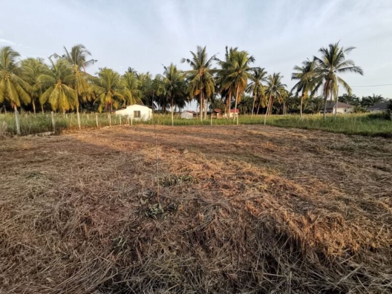 tanah untuk dijual manjung perak 1 768x576