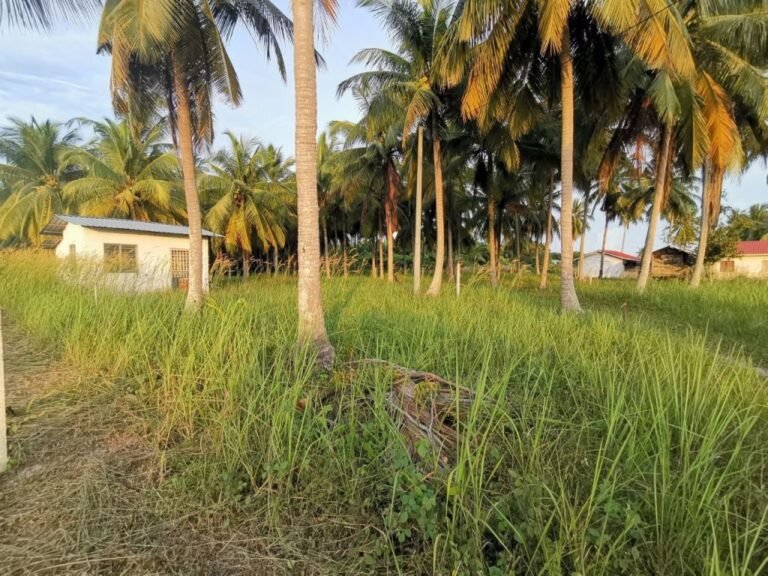 tanah untuk dijual manjung perak 4 768x576