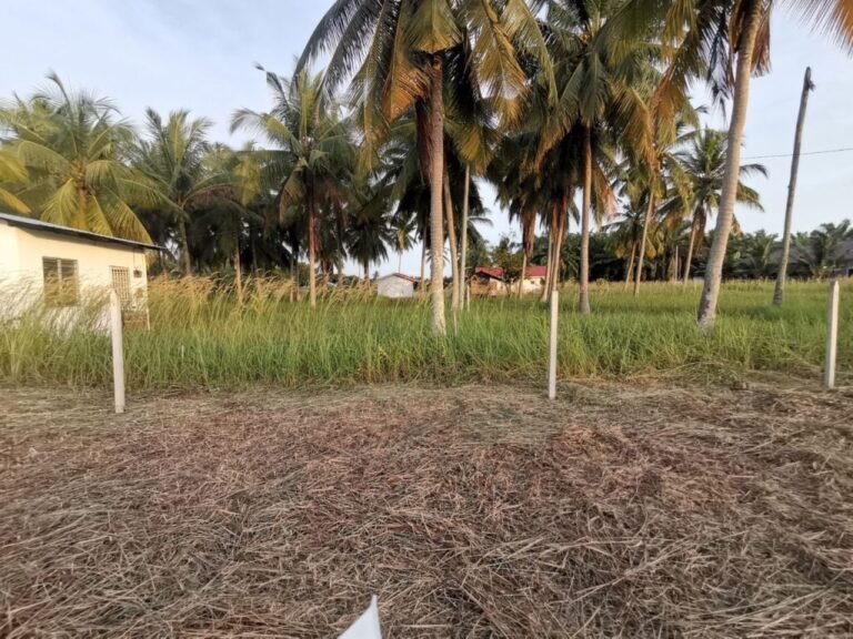 tanah untuk dijual manjung perak 5 768x576