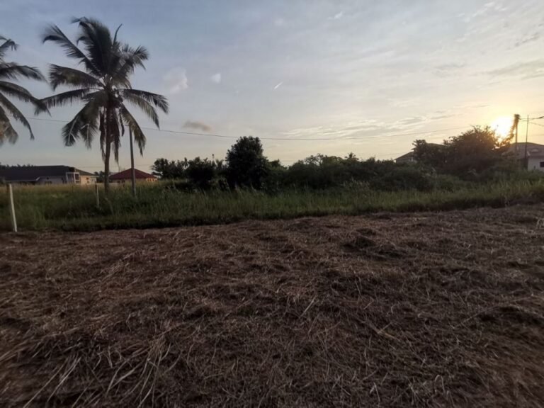 tanah untuk dijual manjung perak 8 768x576