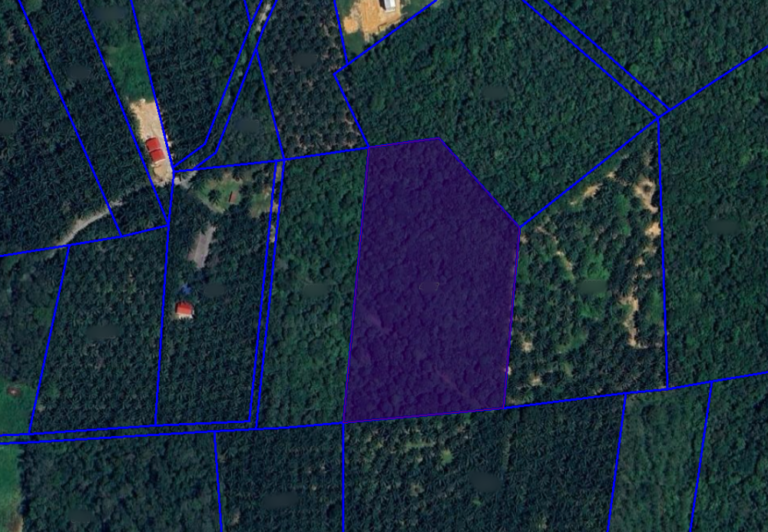 Screenshot 2024 02 08 at 17.27.00 768x532