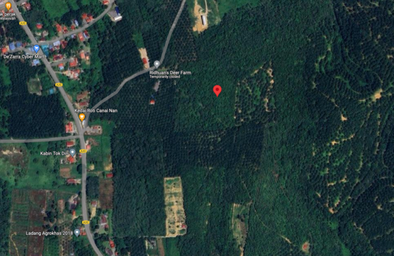 Screenshot 2024 02 08 at 17.27.38 768x499