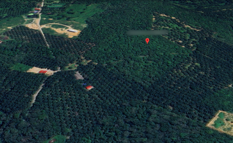 Screenshot 2024 02 08 at 17.36.36 768x474