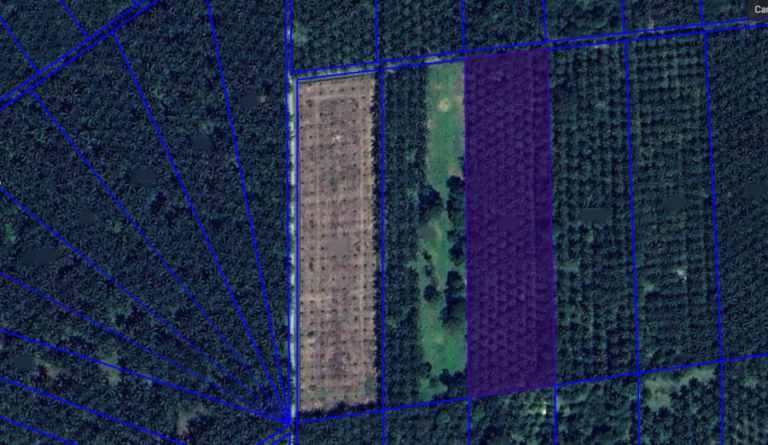 Screenshot 2024 02 08 at 18.38.39 768x445