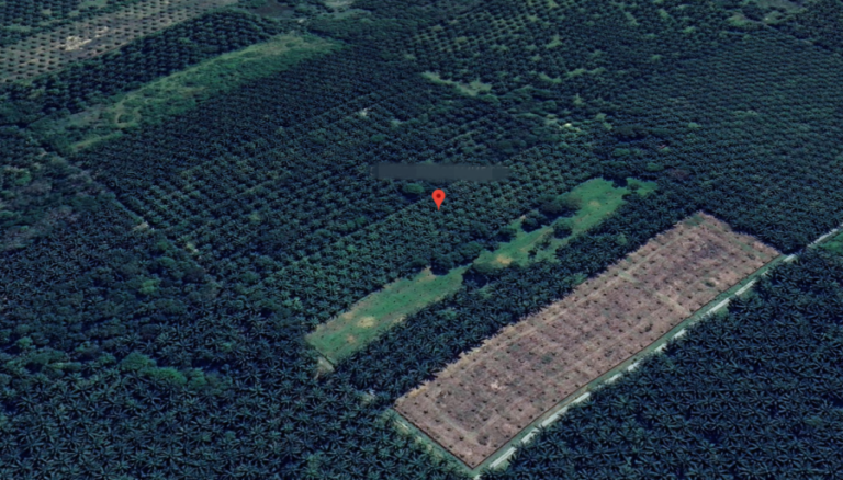 Screenshot 2024 02 08 at 18.38.43 768x438