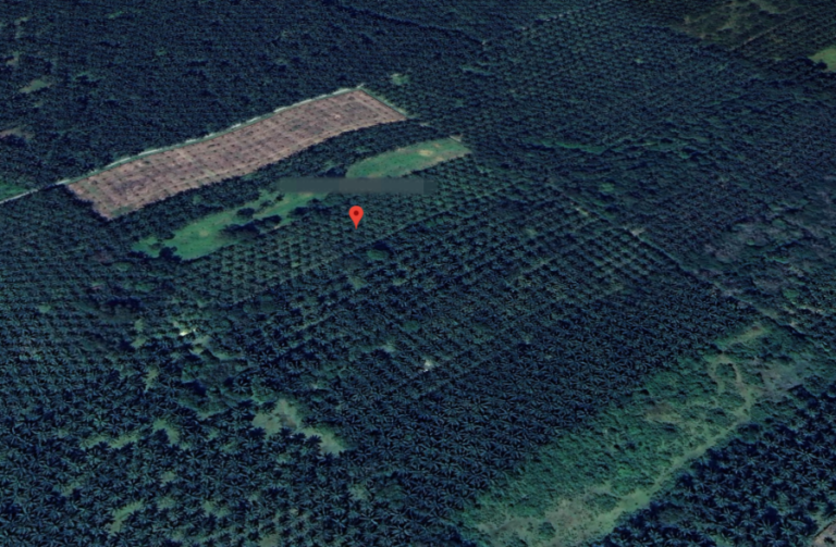 Screenshot 2024 02 08 at 18.38.56 768x503