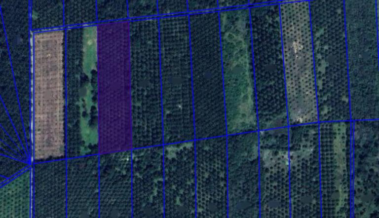 Screenshot 2024 02 09 at 15.04.28 768x442