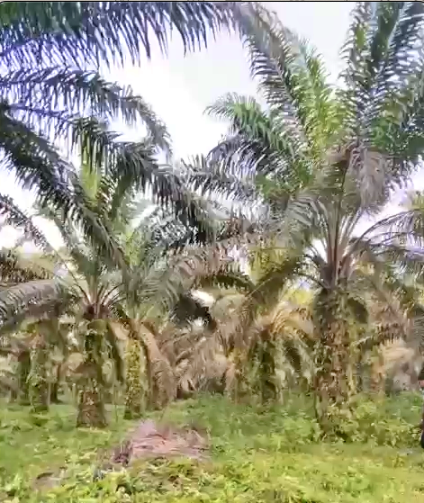 Screenshot 2024 02 09 at 15.48.59