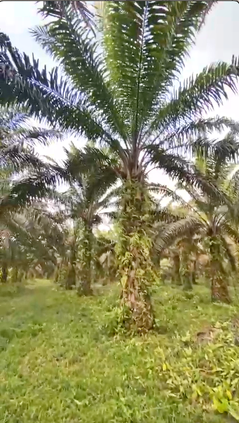 Screenshot 2024 02 09 at 15.49.15