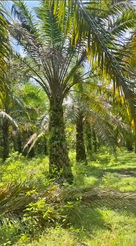 Screenshot 2024 02 09 at 15.51.38