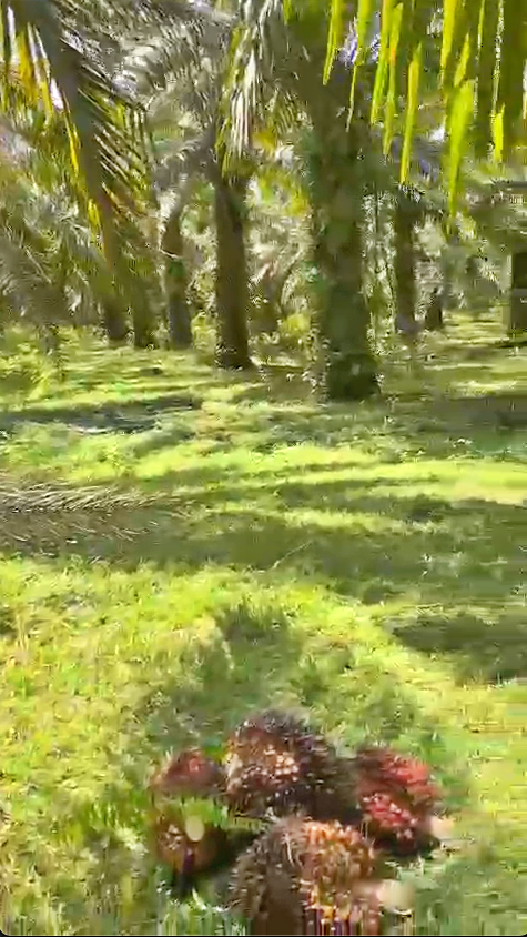 Screenshot 2024 02 09 at 15.51.48