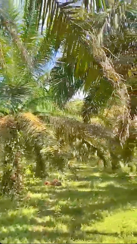 Screenshot 2024 02 09 at 15.52.06