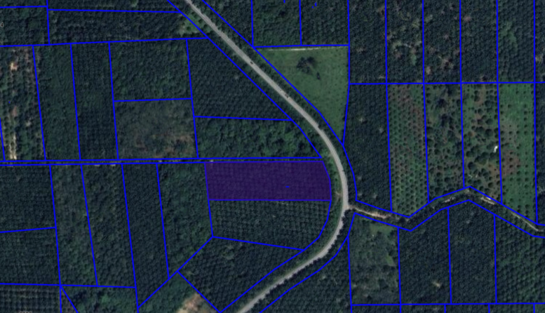 Screenshot 2024 03 05 at 16.48.48 768x441