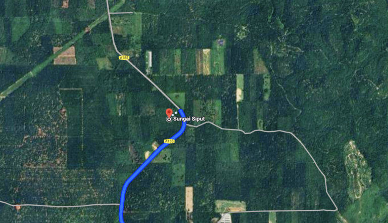 Screenshot 2024 03 05 at 16.48.55 768x441