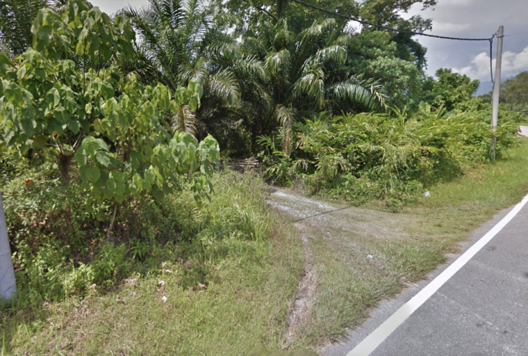 Screenshot 2024 03 05 at 17.09.21 768x518