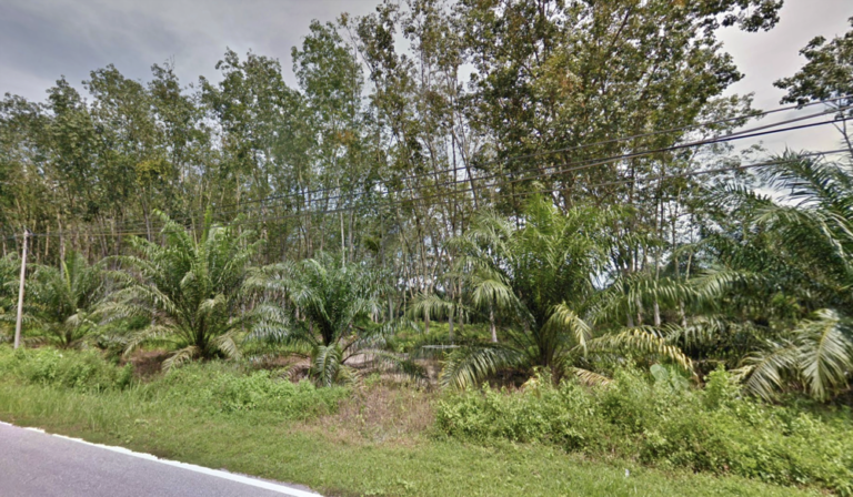 Screenshot 2024 03 05 at 17.09.39 768x448