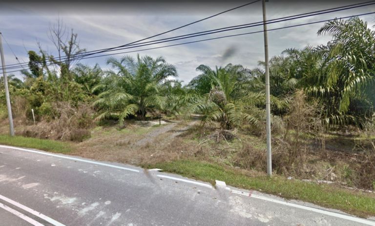 Screenshot 2024 03 05 at 17.15.08 768x464