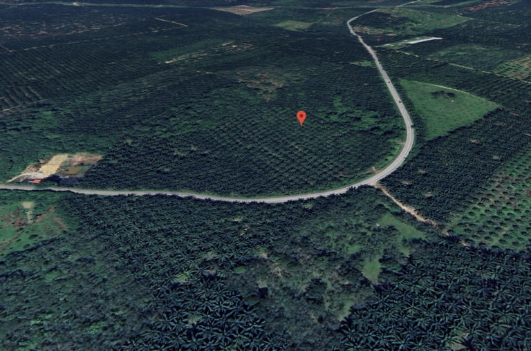 Screenshot 2024 03 05 at 17.16.27 768x508