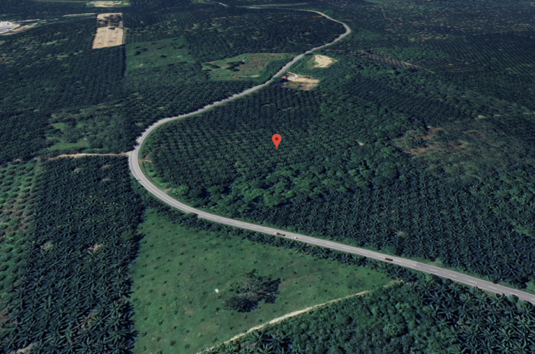 Screenshot 2024 03 05 at 17.16.40 768x508