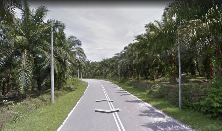 Screenshot 2024 03 05 at 17.17.38 768x453