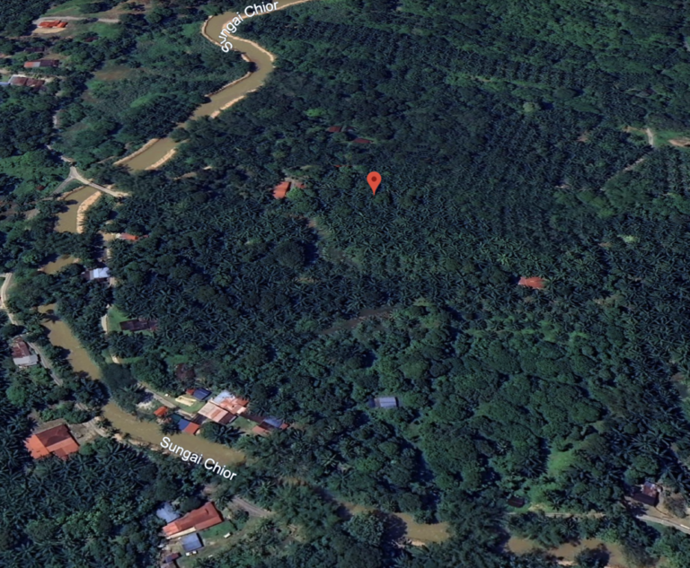 Screenshot 2024 03 06 at 12.50.56 768x633