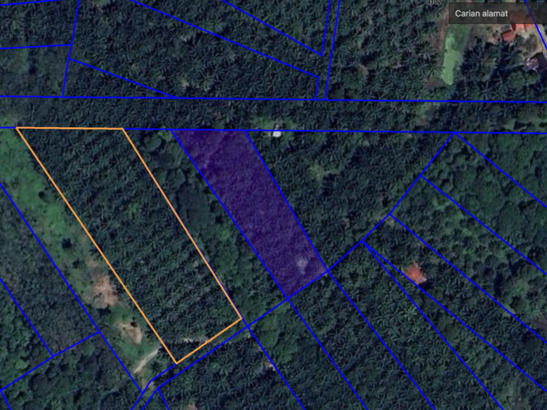 Screenshot 2024 03 06 at 12.58.24 768x575