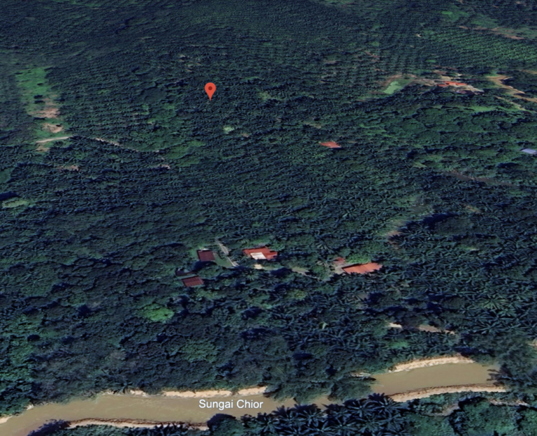 Screenshot 2024 03 06 at 13.05.42 768x624