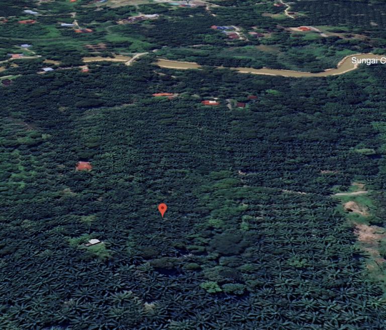 Screenshot 2024 03 06 at 13.05.57 768x656