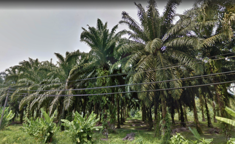 Screenshot 2024 03 06 at 15.48.01 768x472