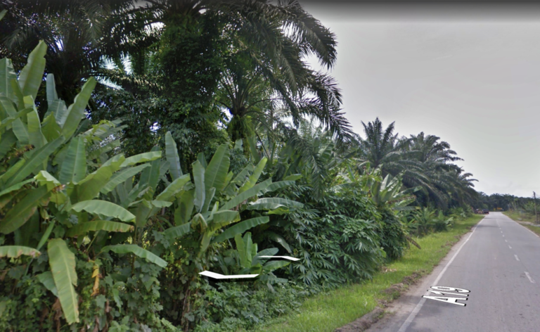 Screenshot 2024 03 06 at 15.48.07 768x472