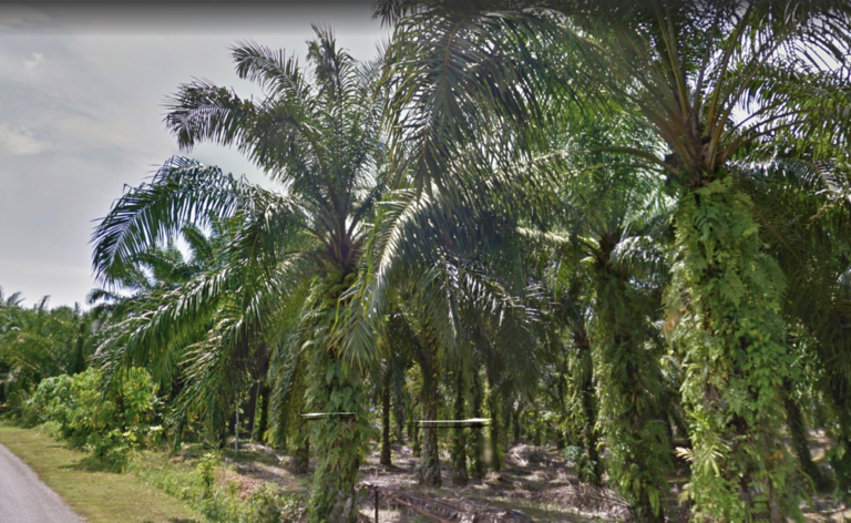 Screenshot 2024 03 06 at 15.48.38 768x472