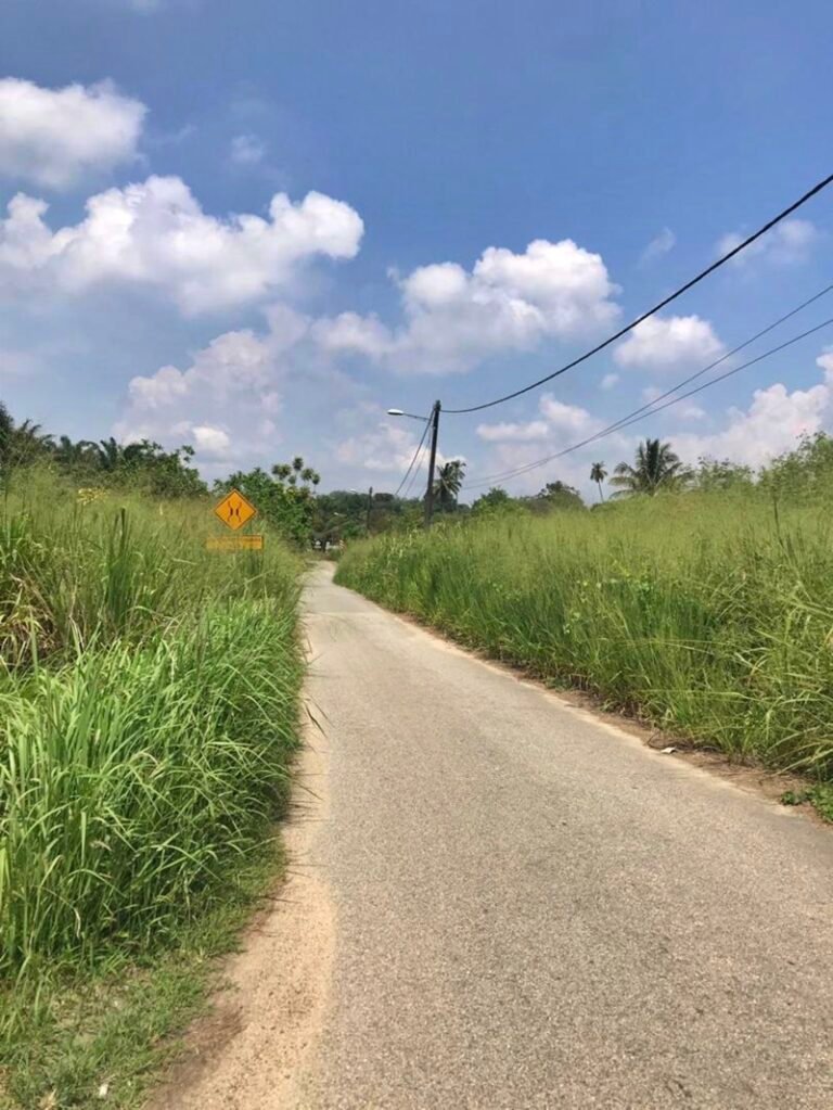 WhatsApp Image 2024 04 26 at 5.25.06 PM 768x1023