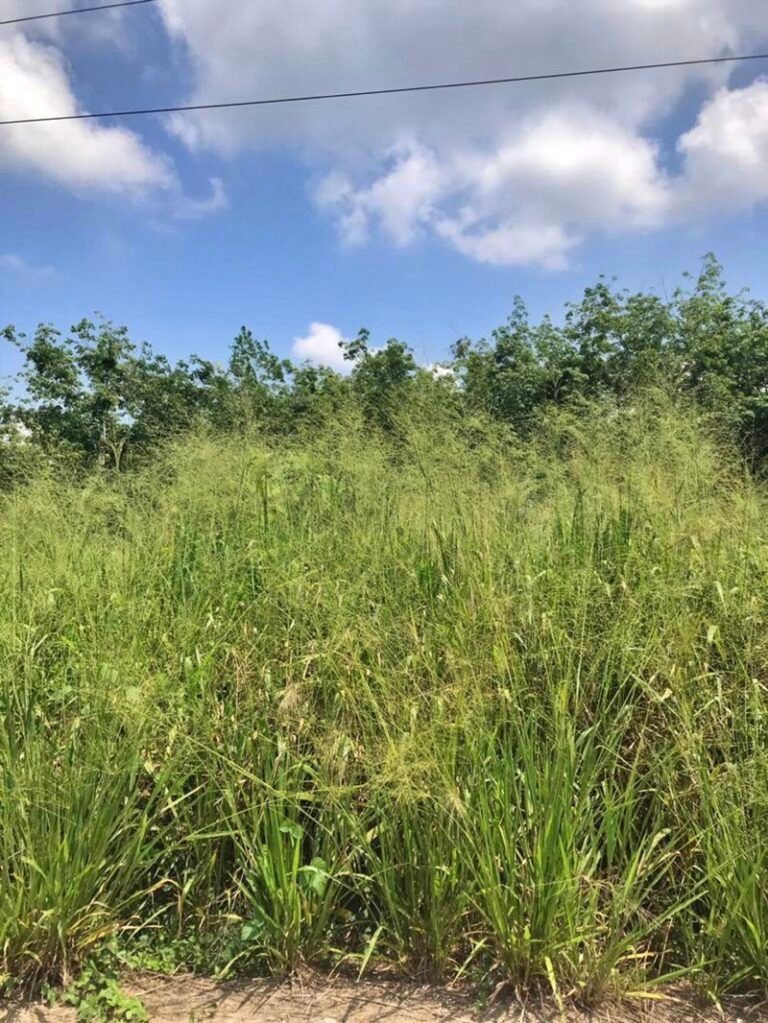 WhatsApp Image 2024 04 26 at 5.25.07 PM 1 768x1023