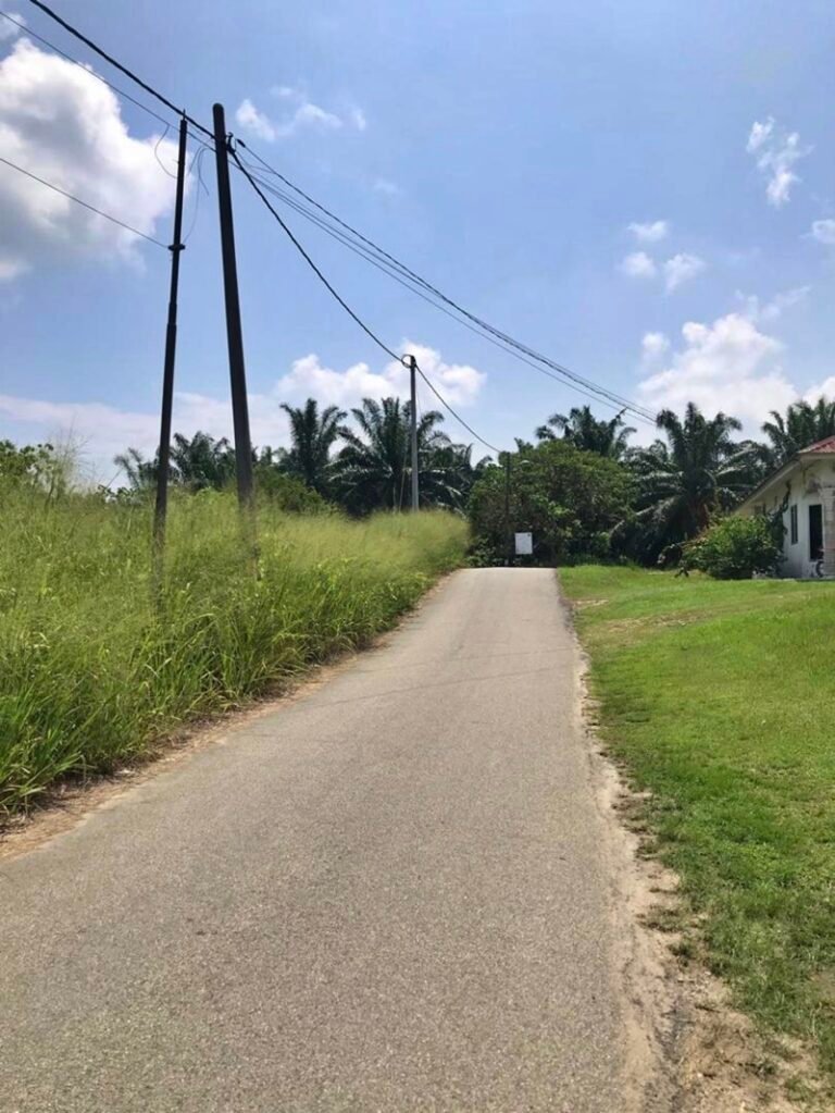 WhatsApp Image 2024 04 26 at 5.25.07 PM 768x1023