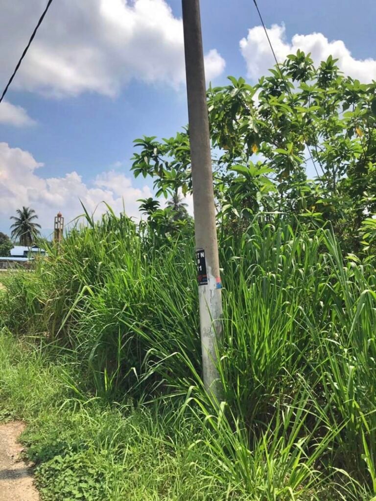 WhatsApp Image 2024 04 26 at 5.25.09 PM 2 768x1023