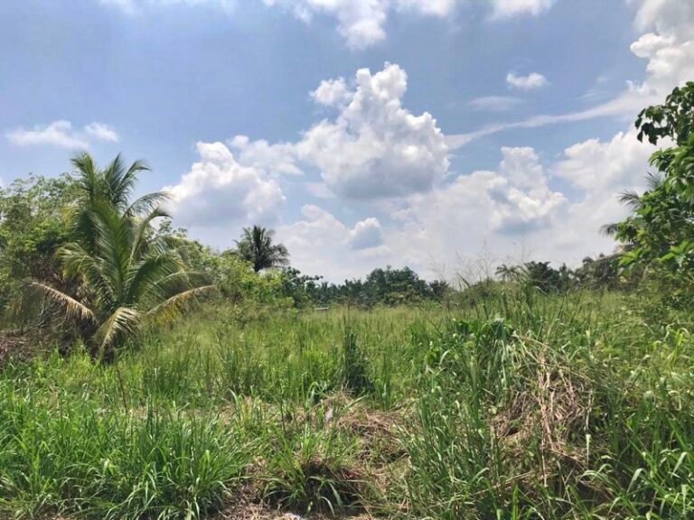 WhatsApp Image 2024 04 26 at 5.25.10 PM 768x576